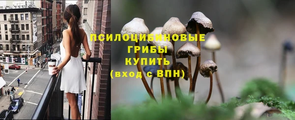 дживик Алзамай