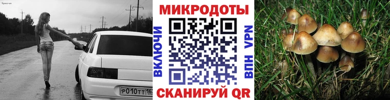 Псилоцибиновые грибы Psilocybe  где купить наркотик  Егорьевск 