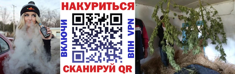 Шишки марихуана марихуана  где купить   Егорьевск 